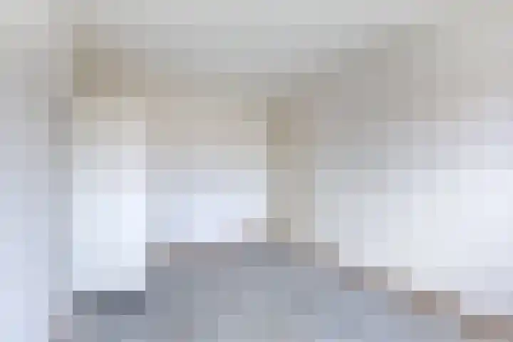 Van Houtenstraat 15 Spijkenisse thumbnail 17