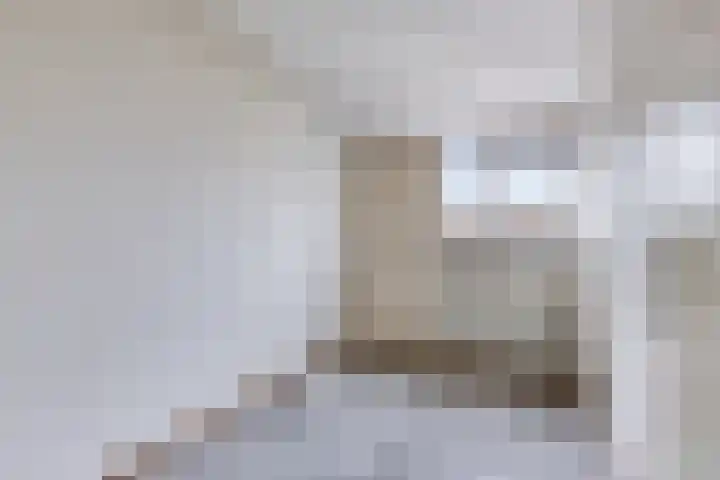 Van Houtenstraat 15 Spijkenisse thumbnail 18
