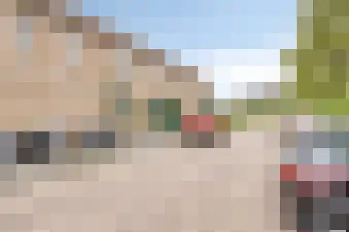 Van Houtenstraat 15 Spijkenisse thumbnail 22
