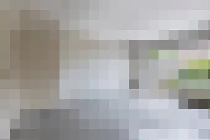 Van Houtenstraat 15 Spijkenisse thumbnail 4
