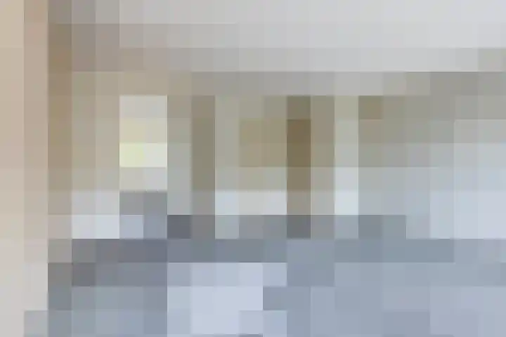 Van Houtenstraat 15 Spijkenisse thumbnail 6