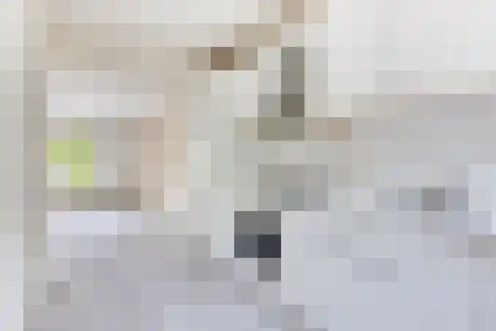 Van Houtenstraat 15 Spijkenisse thumbnail 7