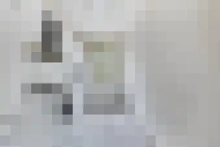 Van Houtenstraat 15 Spijkenisse thumbnail 8