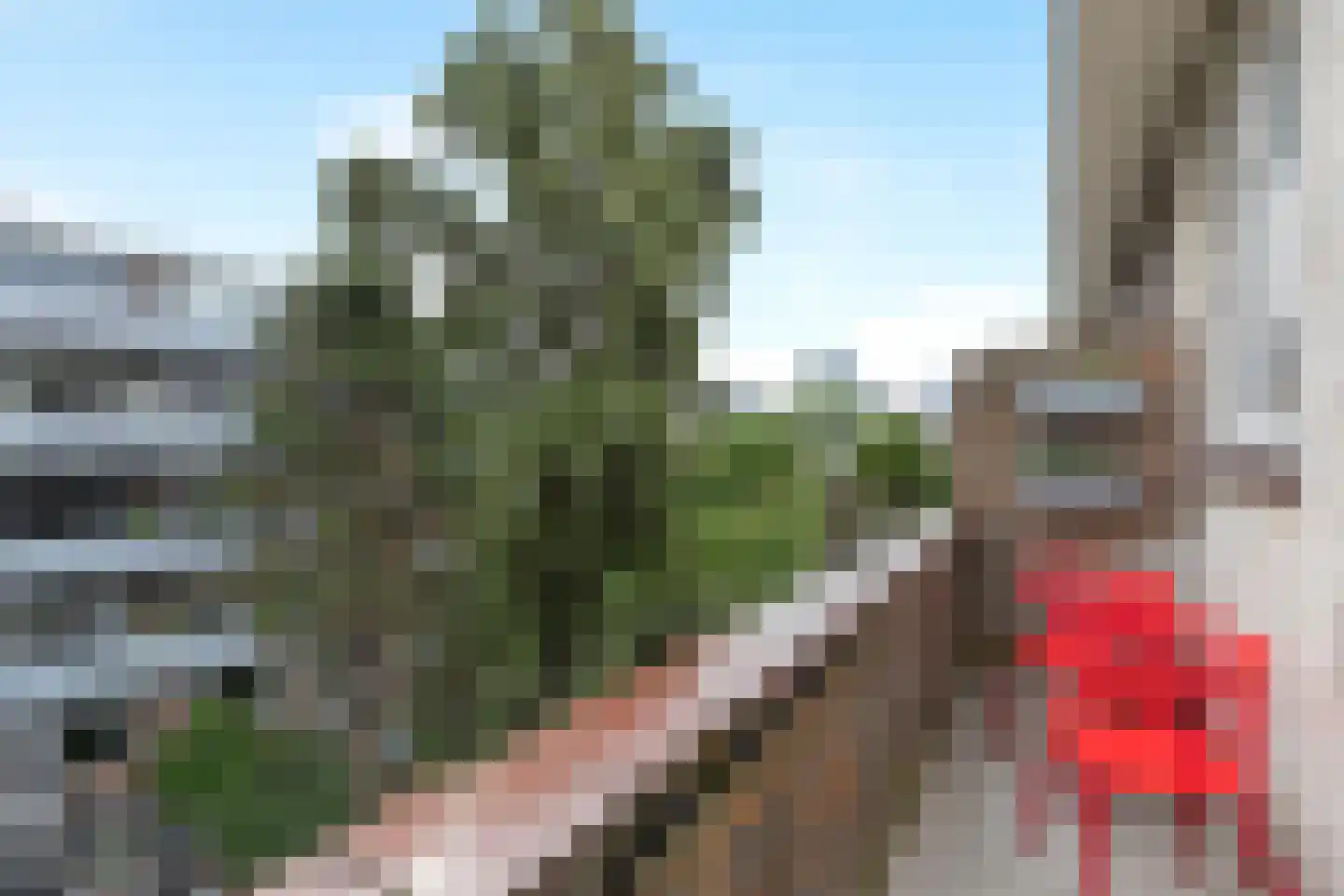 Van Houtenstraat 16 D Rotterdam thumbnail 4