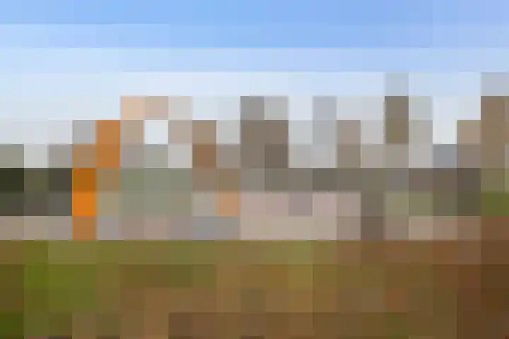 van Houtenstraat 18 Veendam thumbnail 35