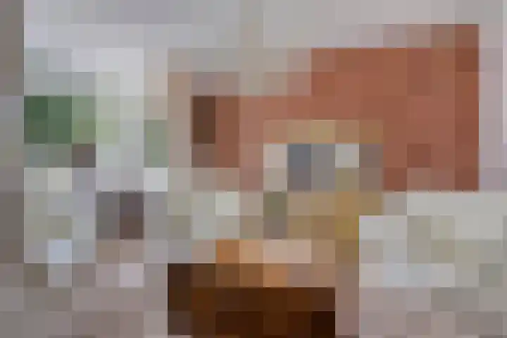 Van Houtenstraat 19 Maarssen thumbnail 10