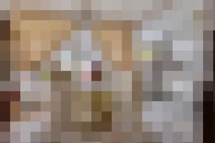 Van Houtenstraat 19 Maarssen thumbnail 11