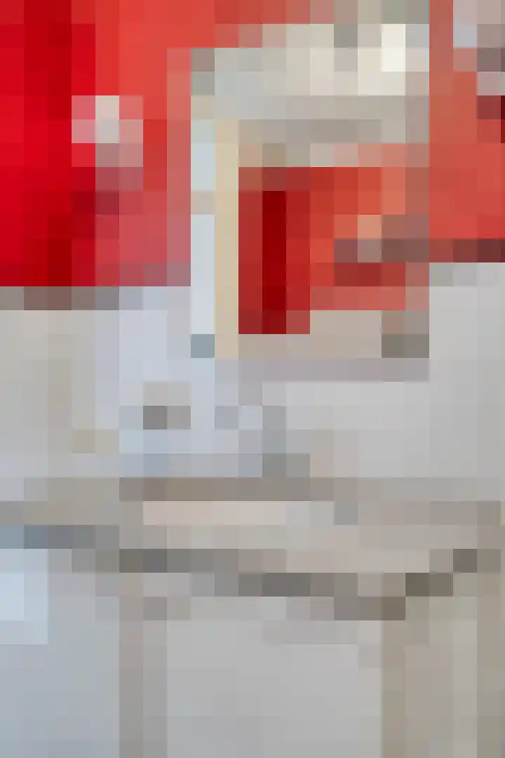 Van Houtenstraat 19 Maarssen thumbnail 20