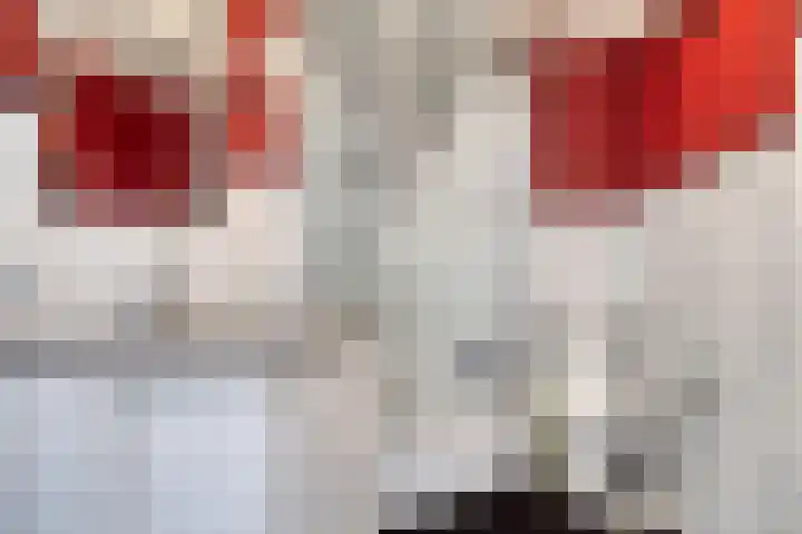 Van Houtenstraat 19 Maarssen thumbnail 21
