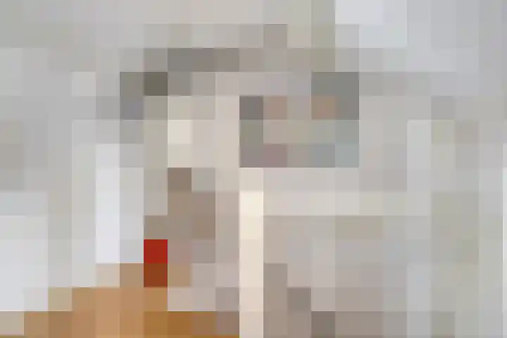 Van Houtenstraat 19 Maarssen thumbnail 27