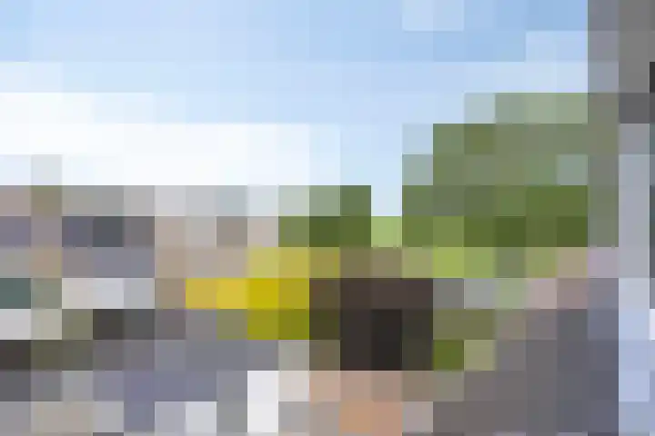 Van Houtenstraat 19 Maarssen thumbnail 29