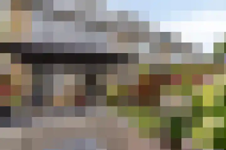 Van Houtenstraat 19 Maarssen thumbnail 35