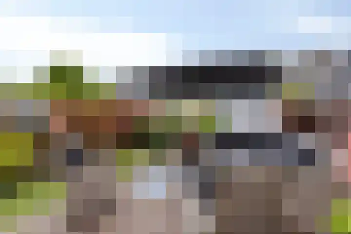Van Houtenstraat 19 Maarssen thumbnail 38