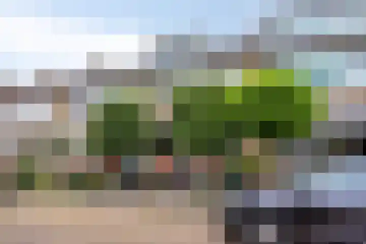 Van Houtenstraat 19 Maarssen thumbnail 4