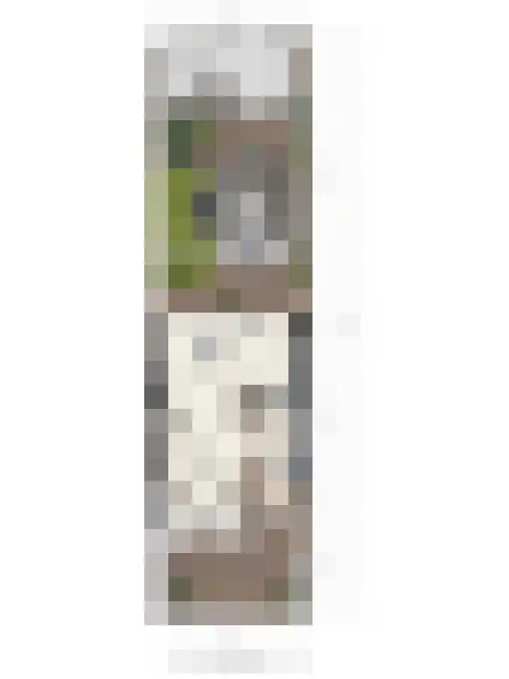 Van Houtenstraat 19 Maarssen thumbnail 43