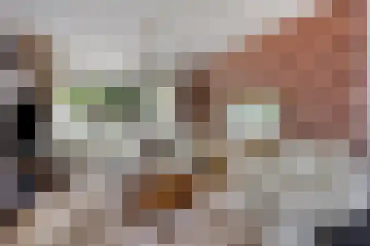 Van Houtenstraat 19 Maarssen thumbnail 8
