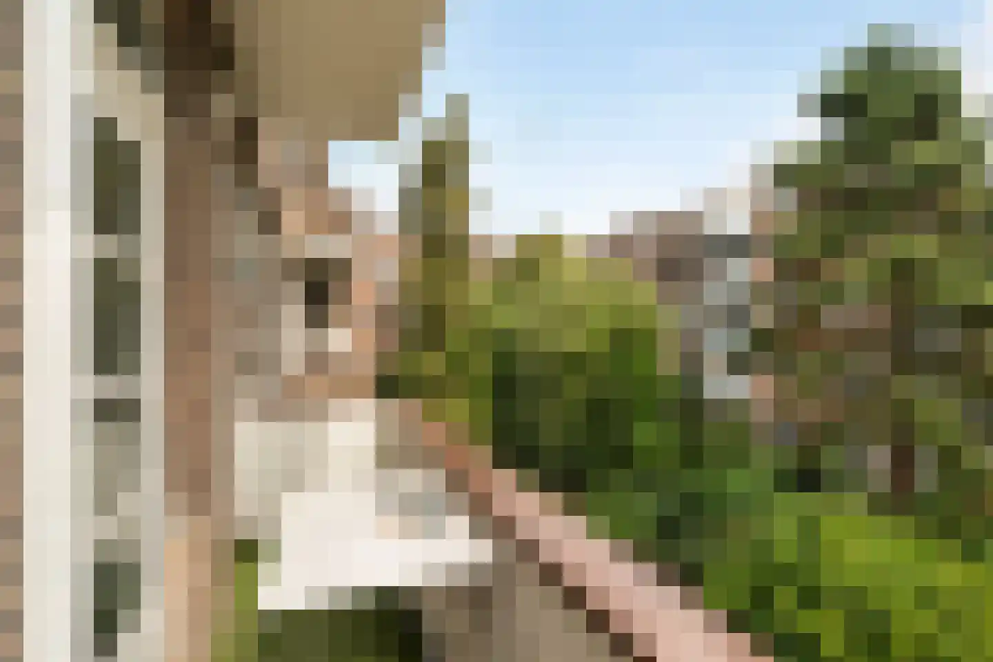 Van Houtenstraat 20 C Rotterdam thumbnail 26