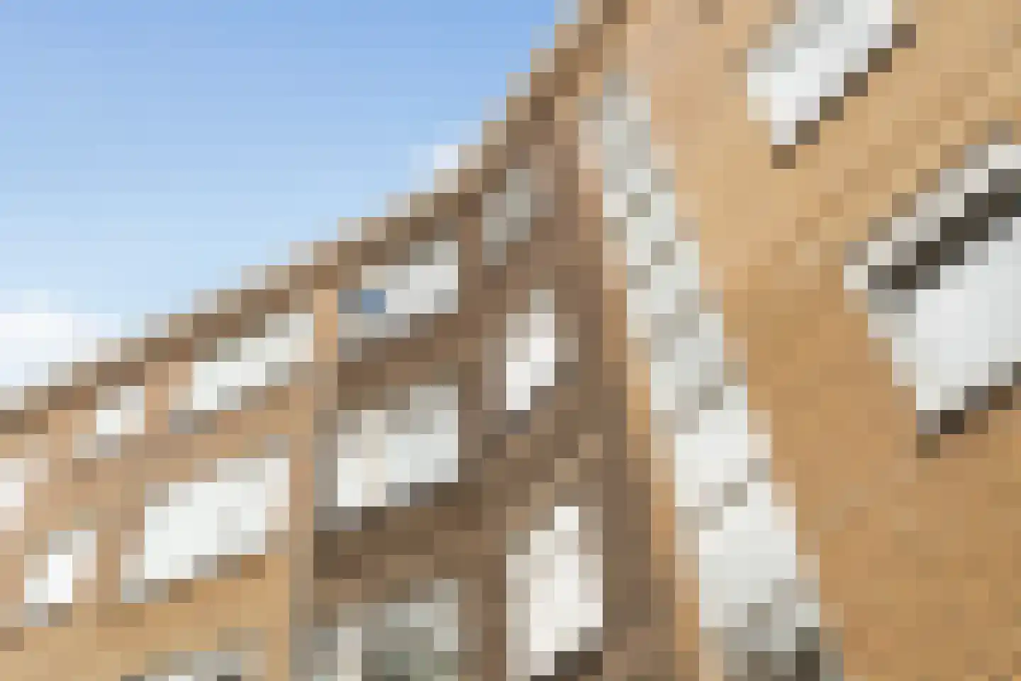 Van Houtenstraat 20 C Rotterdam thumbnail 30