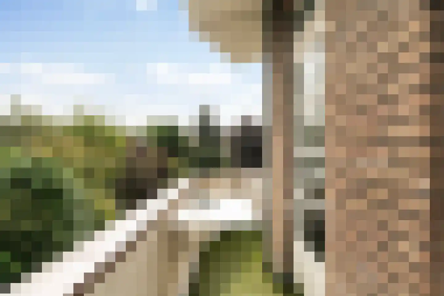 Van Houtenstraat 20 C Rotterdam thumbnail 4