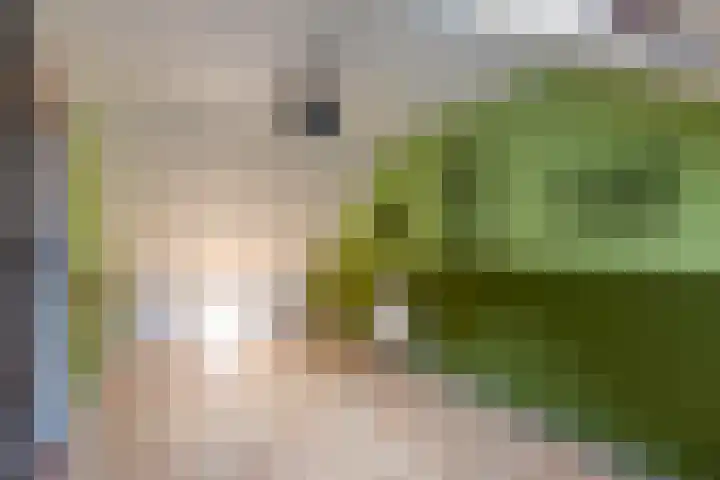 van Houtenstraat 23 Hoogerheide thumbnail 30