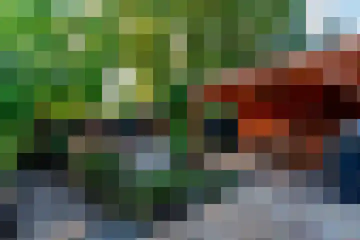 van Houtenstraat 23 Hoogerheide thumbnail 31