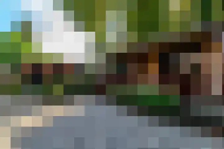 van Houtenstraat 23 Hoogerheide thumbnail 36