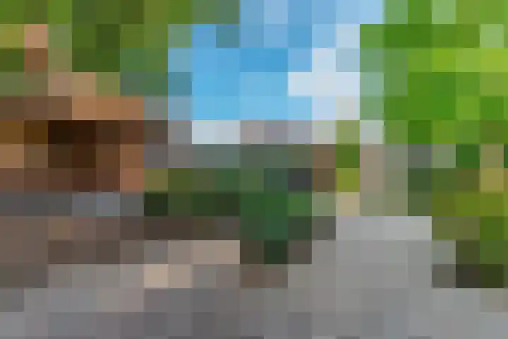 van Houtenstraat 23 Hoogerheide thumbnail 38