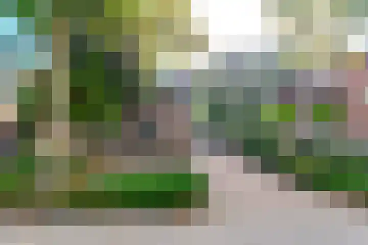 van Houtenstraat 23 Hoogerheide thumbnail 48