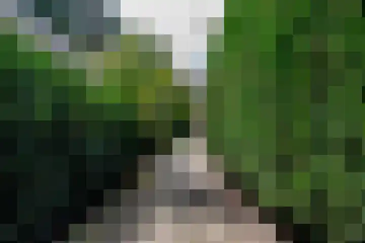 van Houtenstraat 23 Hoogerheide thumbnail 49