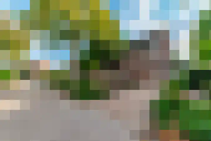van Houtenstraat 23 Hoogerheide thumbnail 7