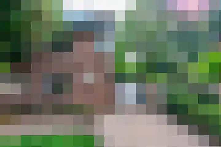 van Houtenstraat 23 Hoogerheide thumbnail 8