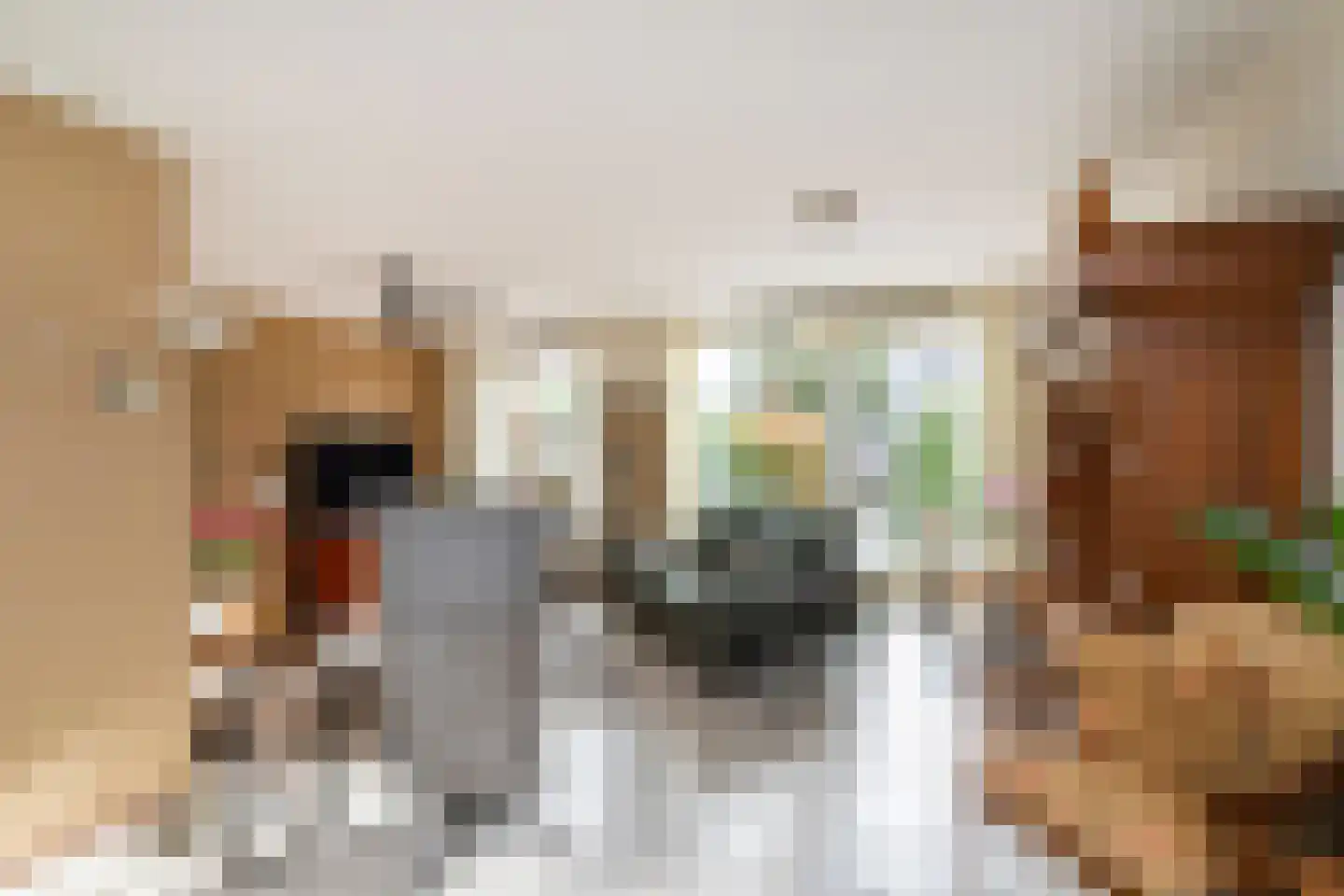Van Houtenstraat 27 Naaldwijk thumbnail 10