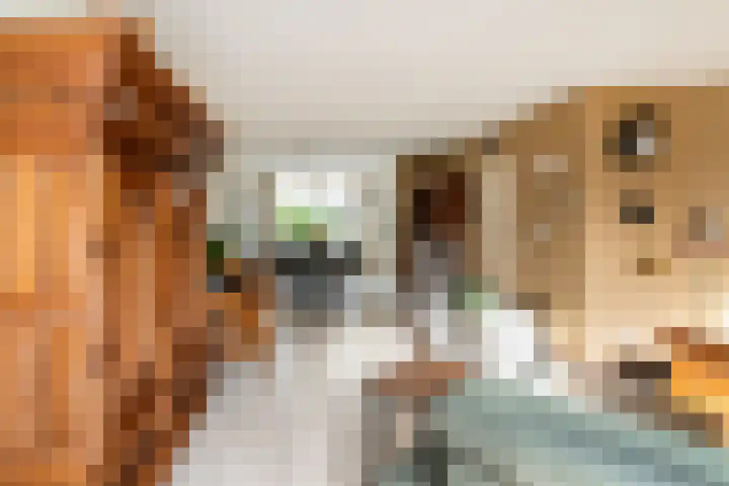 Van Houtenstraat 27 Naaldwijk thumbnail 11