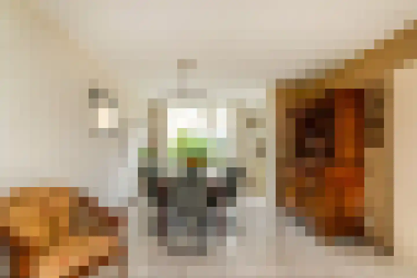 Van Houtenstraat 27 Naaldwijk thumbnail 13