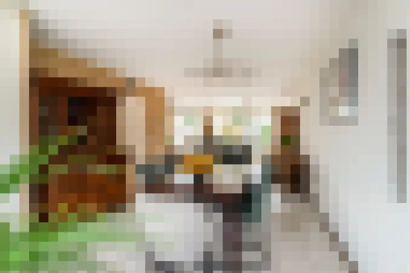 Van Houtenstraat 27 Naaldwijk thumbnail 15