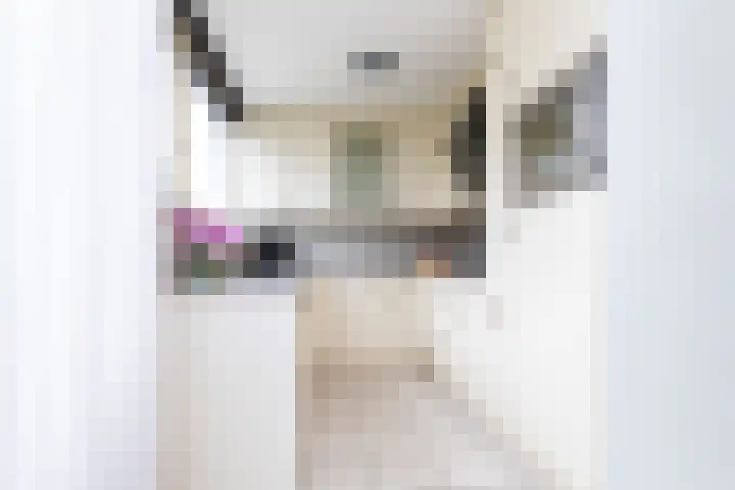 Van Houtenstraat 27 Naaldwijk thumbnail 20