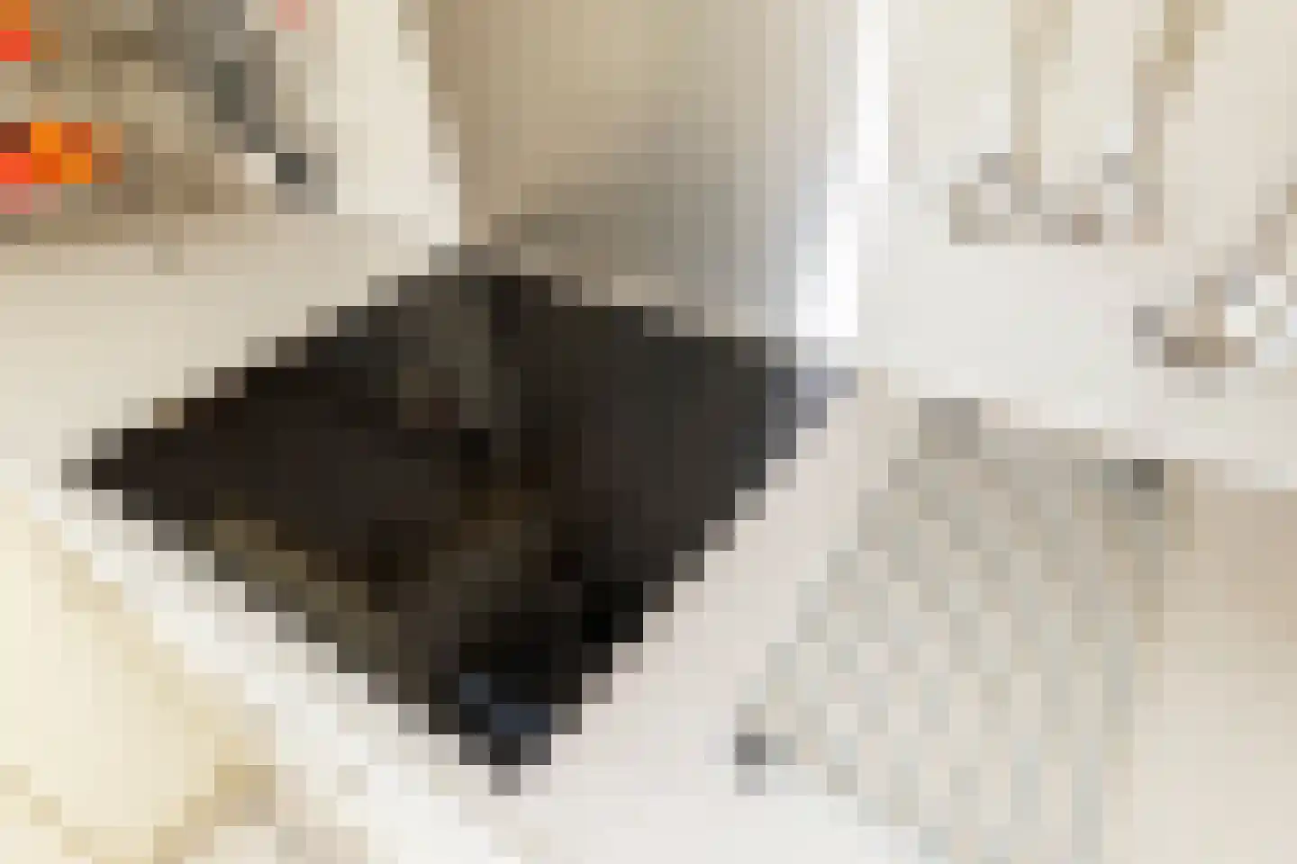 Van Houtenstraat 27 Naaldwijk thumbnail 21