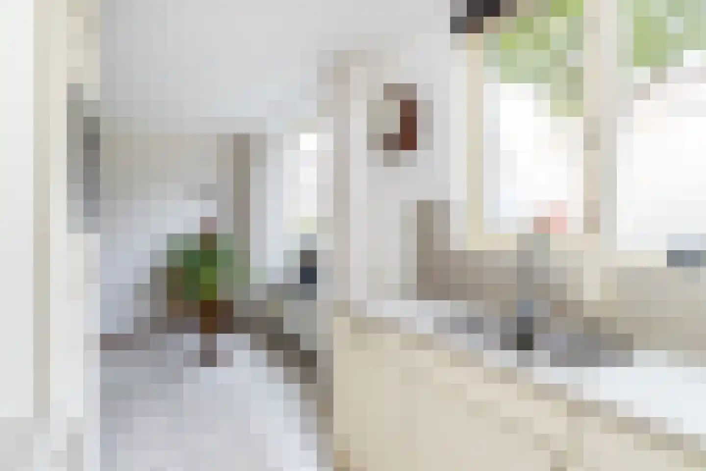 Van Houtenstraat 27 Naaldwijk thumbnail 23