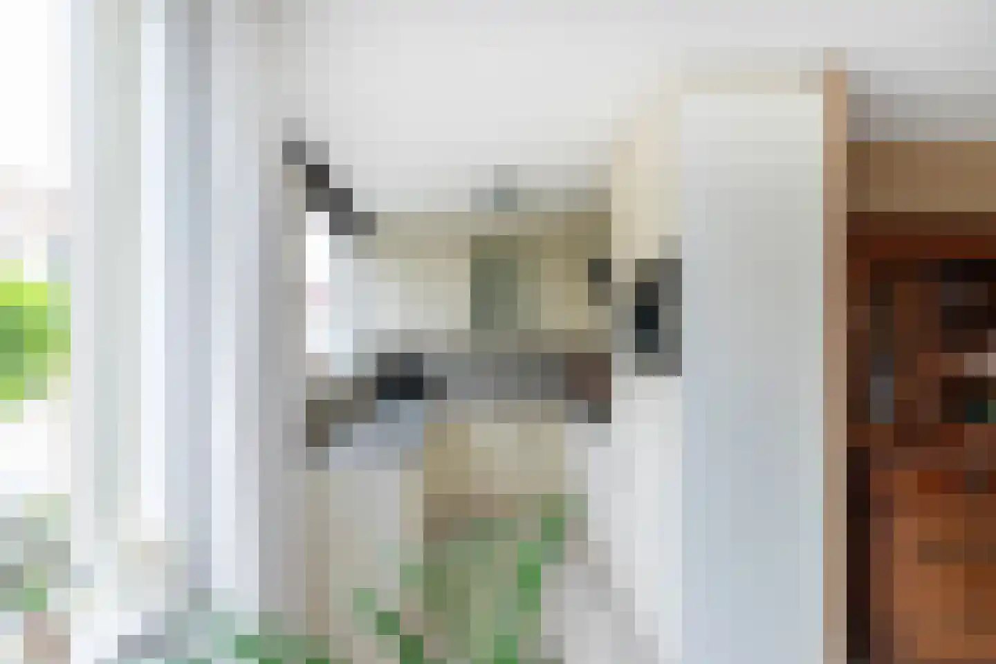 Van Houtenstraat 27 Naaldwijk thumbnail 24