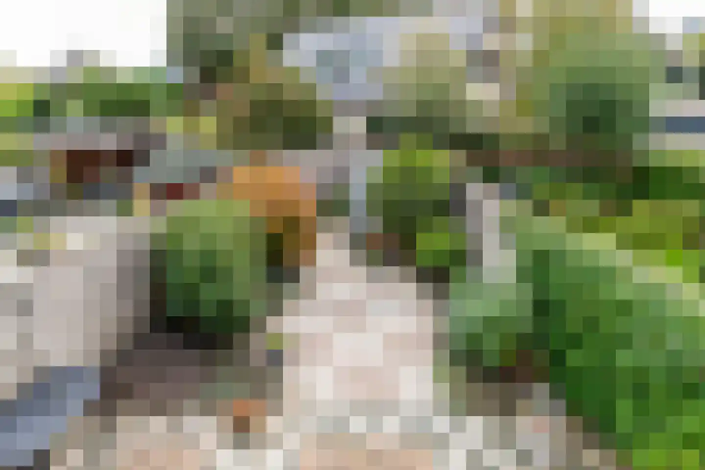Van Houtenstraat 27 Naaldwijk thumbnail 30