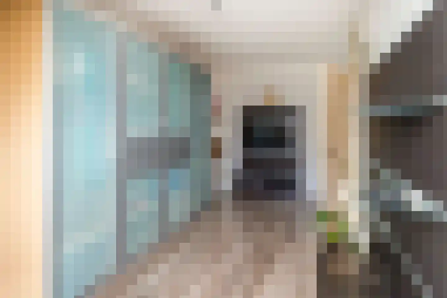 Van Houtenstraat 27 Naaldwijk thumbnail 32
