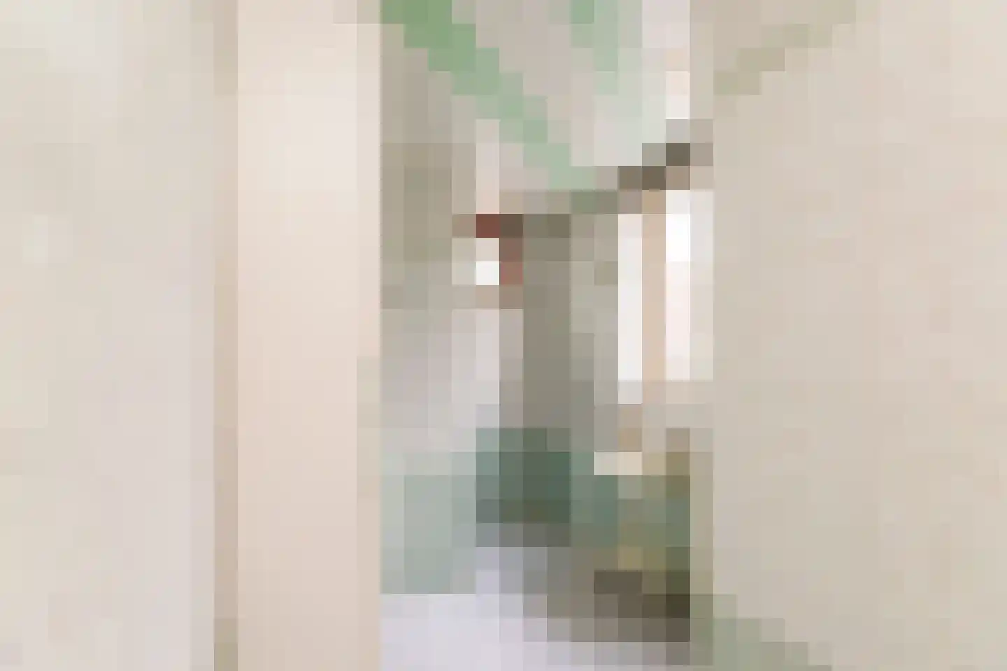 Van Houtenstraat 27 Naaldwijk thumbnail 35