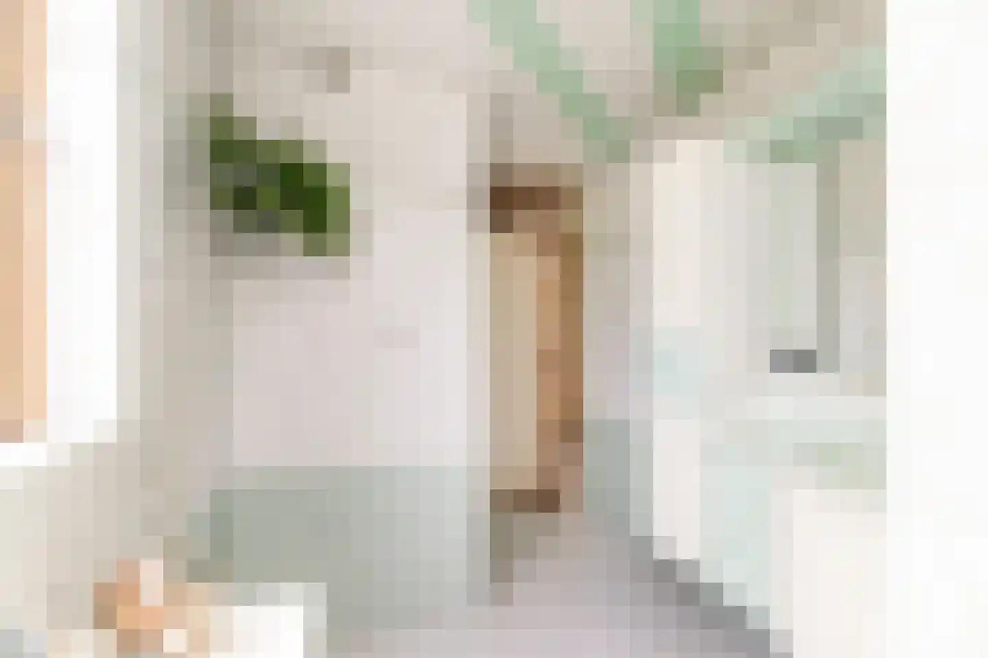 Van Houtenstraat 27 Naaldwijk thumbnail 4