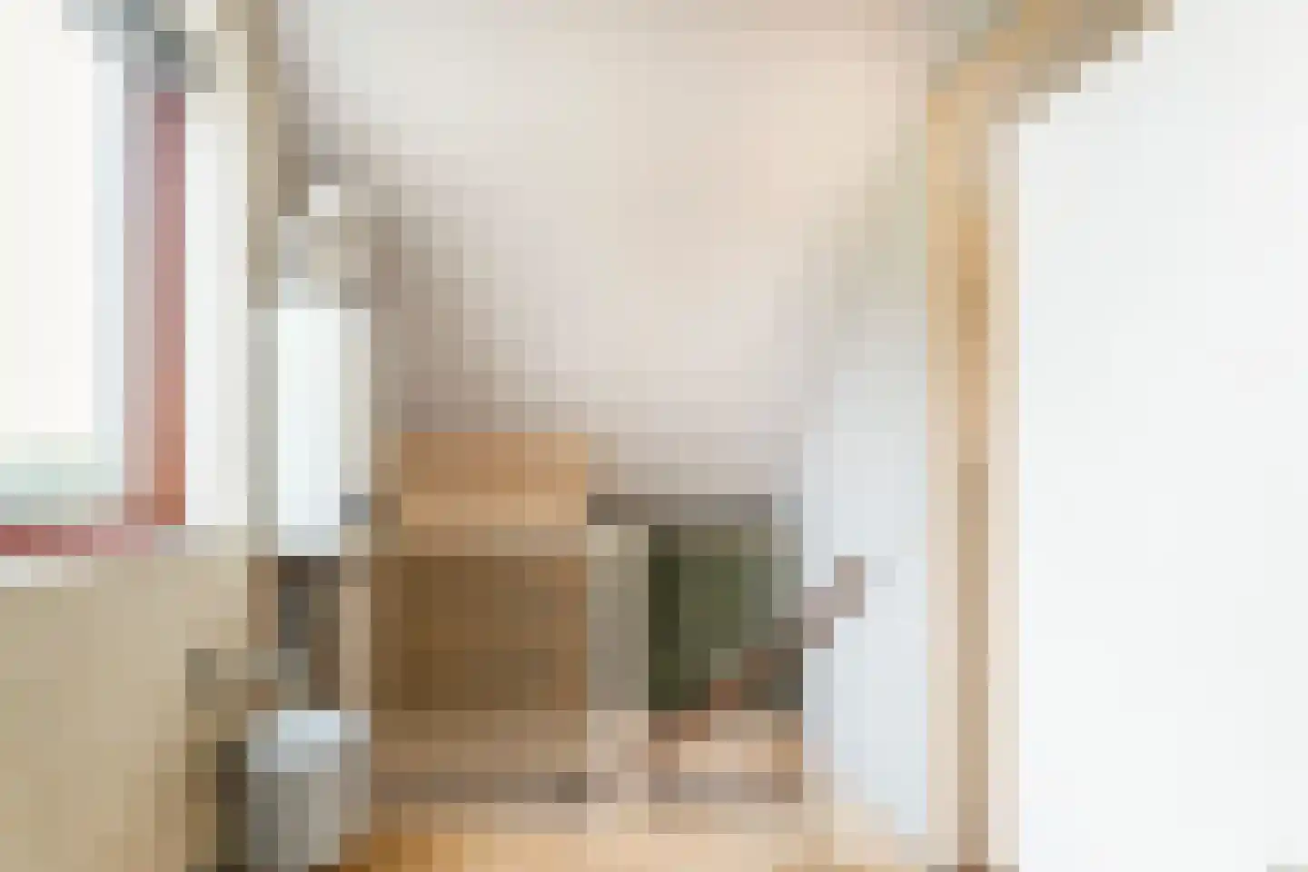 Van Houtenstraat 27 Naaldwijk thumbnail 40
