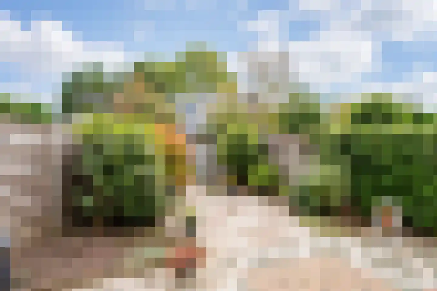Van Houtenstraat 27 Naaldwijk thumbnail 7