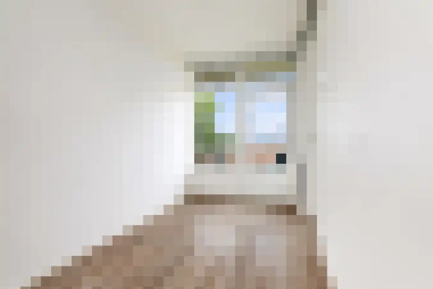 Van Houtenstraat 34 Apeldoorn thumbnail 11