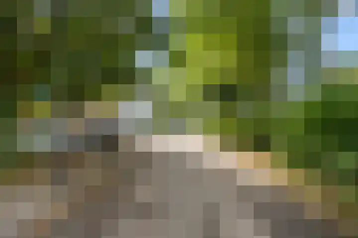 Van Houtenstraat 34 Wageningen thumbnail 27