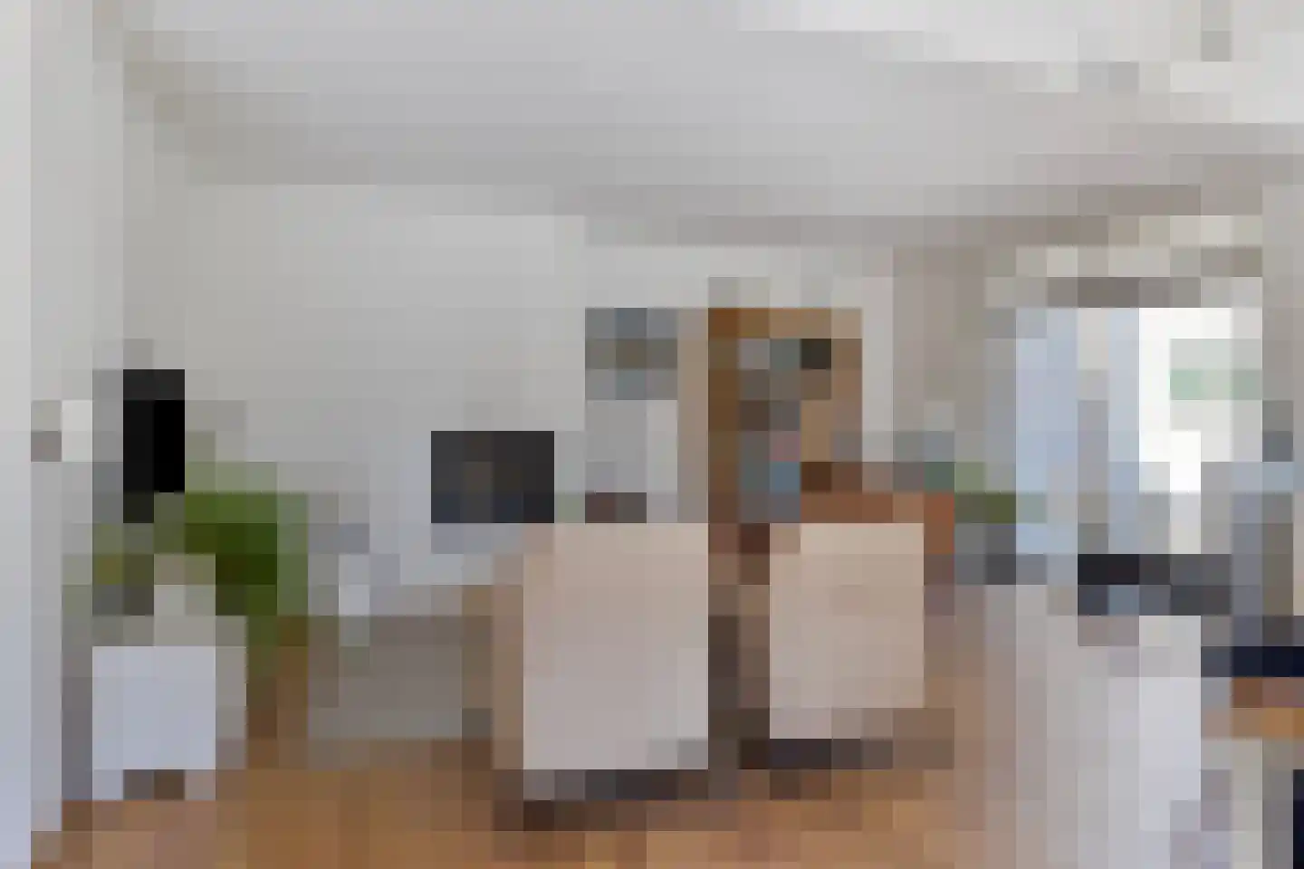 Van Houtenstraat 39 Bergen op Zoom thumbnail 10