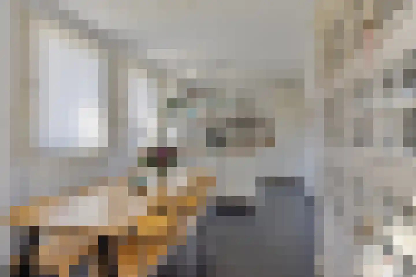 Van Houtenstraat 39 Bergen op Zoom thumbnail 17