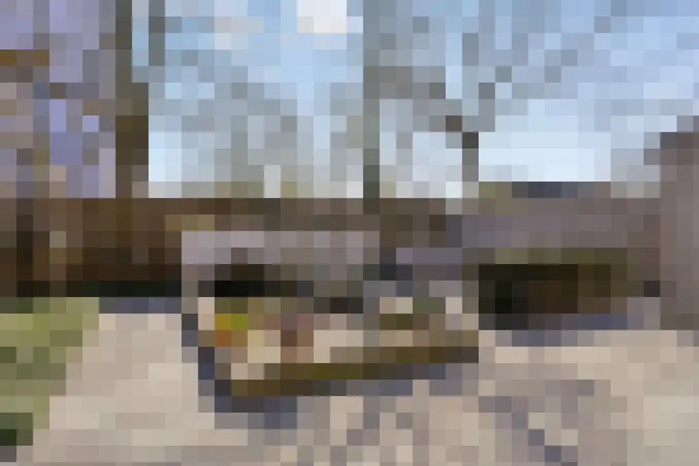 Van Houtenstraat 39 Bergen op Zoom thumbnail 40
